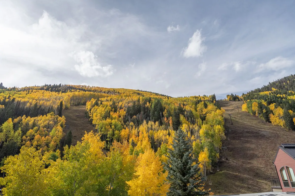 The scene showcases vibrant yellow trees and lush green foliage against dramatic mountain slopes under a cloudy sky. This tranquil, colorful landscape evokes the natural beauty couples might enjoy from a private balcony or during a scenic walk together.