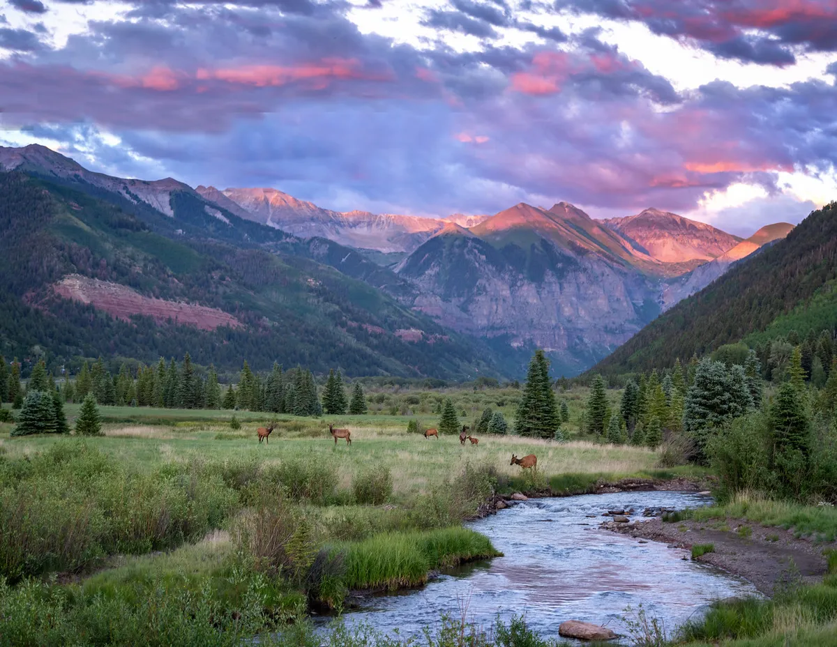 Elk graze near a flowing stream beneath colorful sunset clouds, with majestic mountains rising in the background. The tranquil scene exudes the beauty of wildlife observation and serene moments in Telluride’s natural landscape.