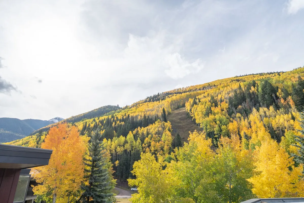 A vibrant autumn landscape with colorful foliage, a mountain backdrop, and a hiker on the trail. The sky is cloudy, adding contrast and depth. The tranquil setting highlights both the beauty of the seasons and the opportunities for hiking and reflection in nature.
